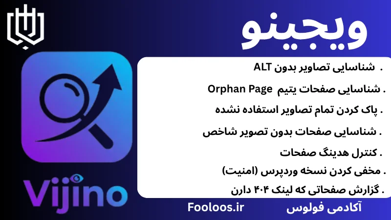 افزونه ویجینو